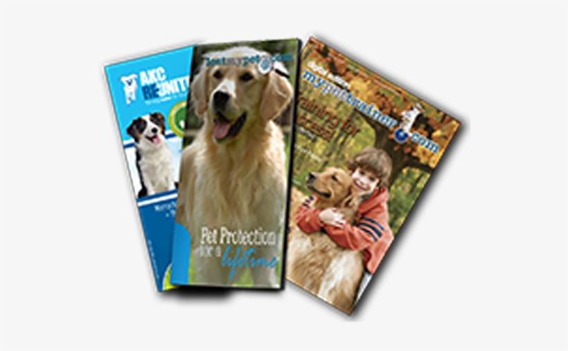 Yearly Microchip Enrollment - Golden Retriever, transparent png download