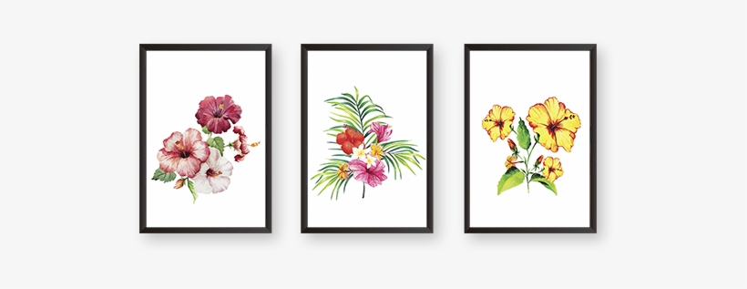 Set Of 3 Frames - Bouquet, transparent png download