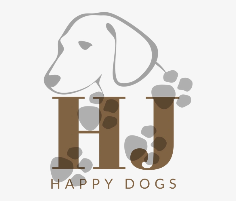 Harrier, transparent png download