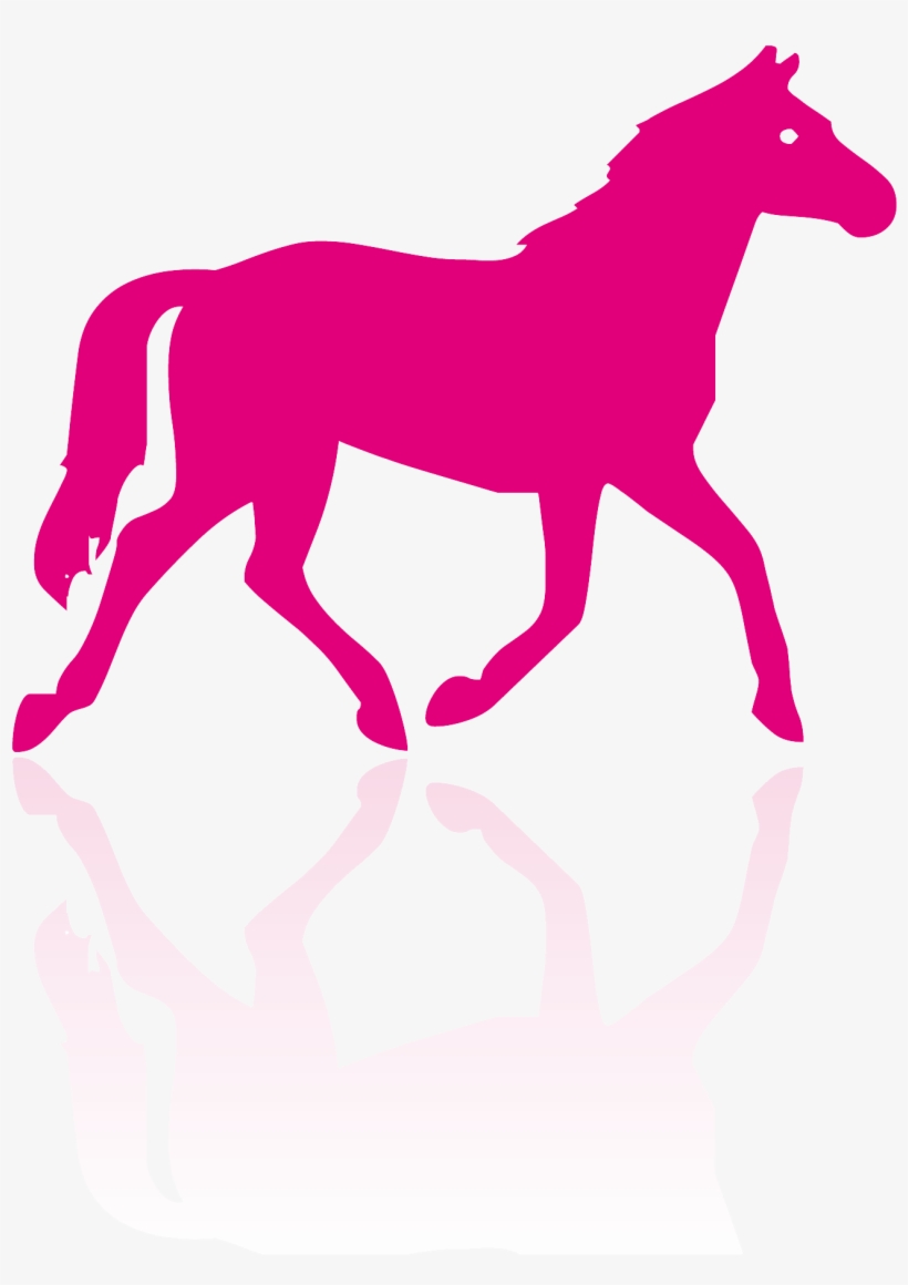 Adiavet™ Equine - Horse Silhouette, transparent png download