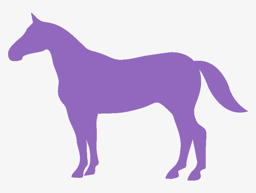 Kkm Stable Clinics - Illustration, transparent png download