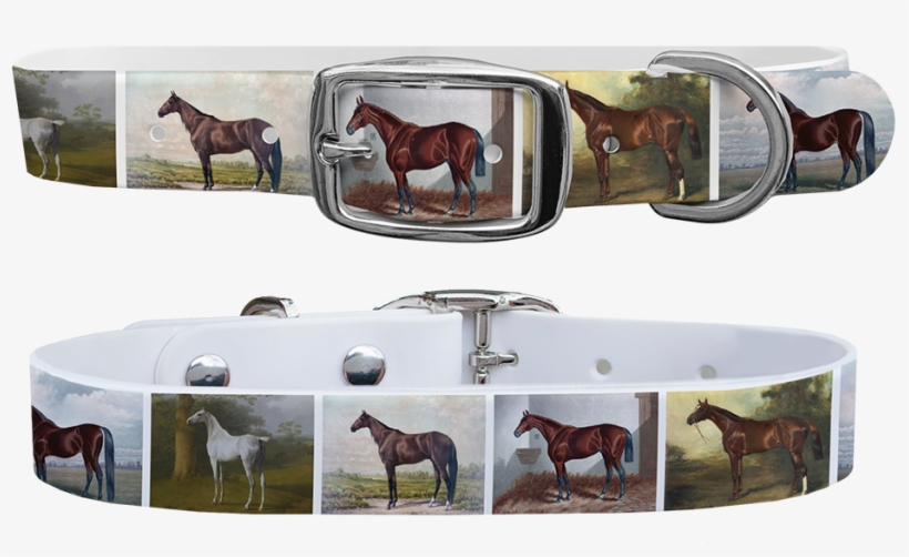 Belt, transparent png download
