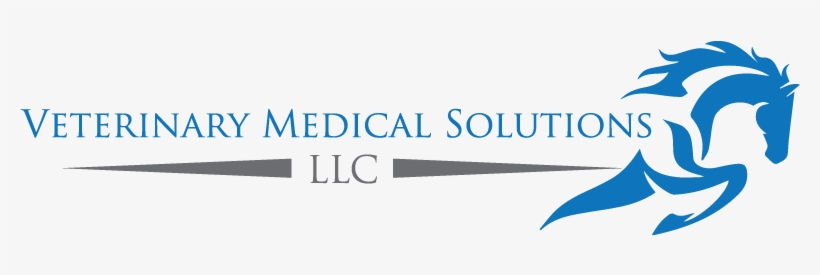 Logo Design By Astana99 For Six Gators Performance - Graphics, transparent png download