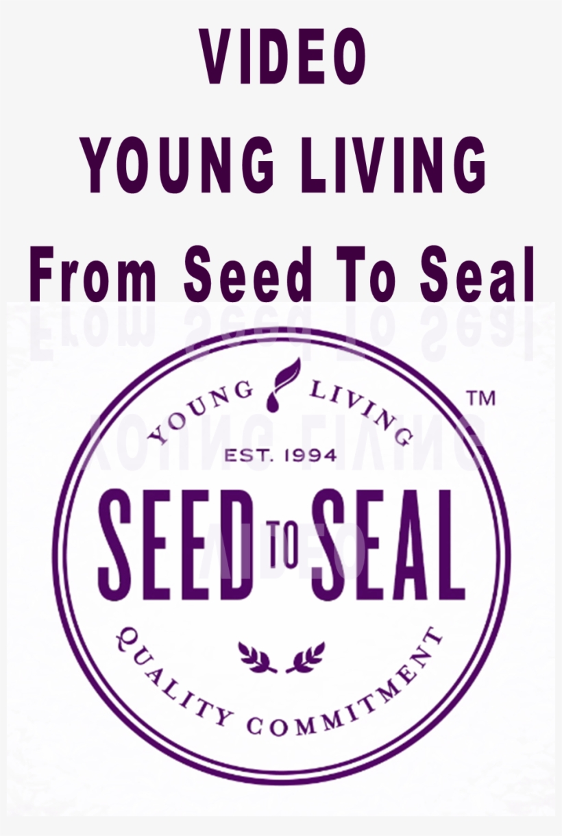 951 X 1369 2 - Seed To Seal, transparent png download