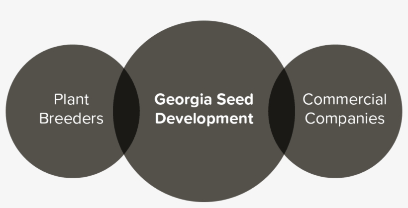 Our Mission Infographic - Circle, transparent png download
