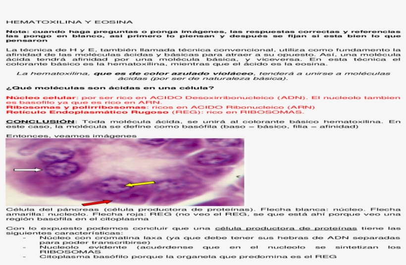 Document, transparent png download