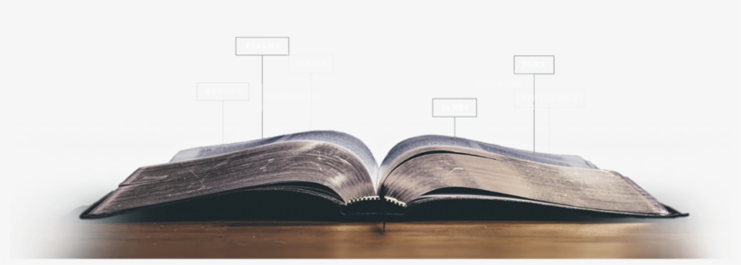 Through The Bible - Plywood, transparent png download
