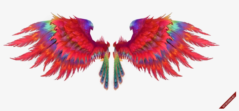 Com/v/888968666677/file Microsoft Office Word 7567 - Macaw, transparent png download