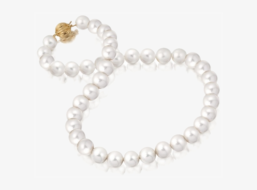 Genuine Pearl Necklace - Pearl, transparent png download