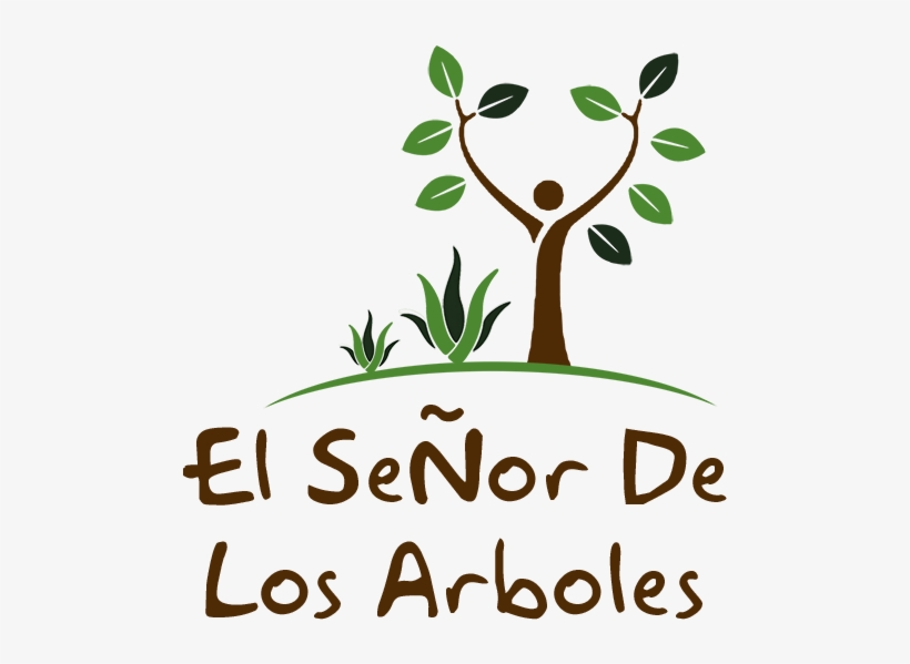 Nomes De Agencias De Turismo, transparent png download