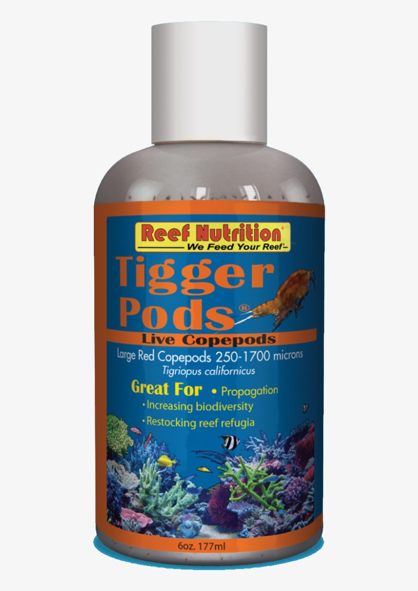 Tigger Pods Bottle - Aquarium, transparent png download