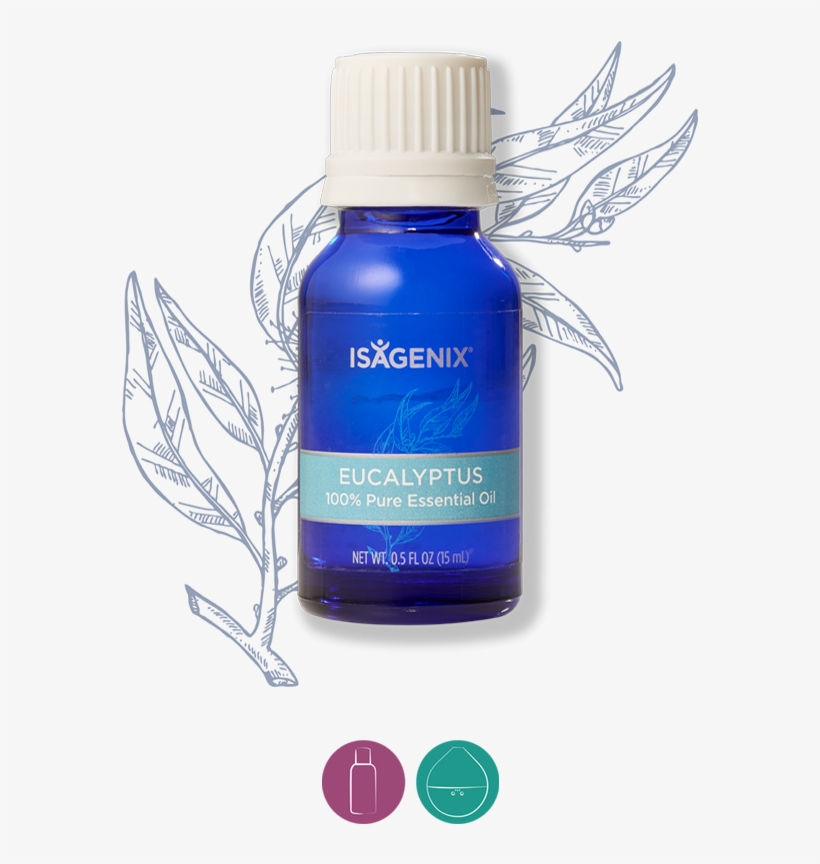 Eucalyptus - Isagenix Essence Lemon Essential Oil, transparent png download