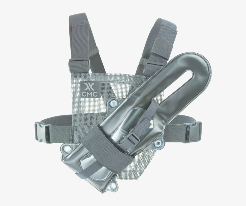 Belt, transparent png download