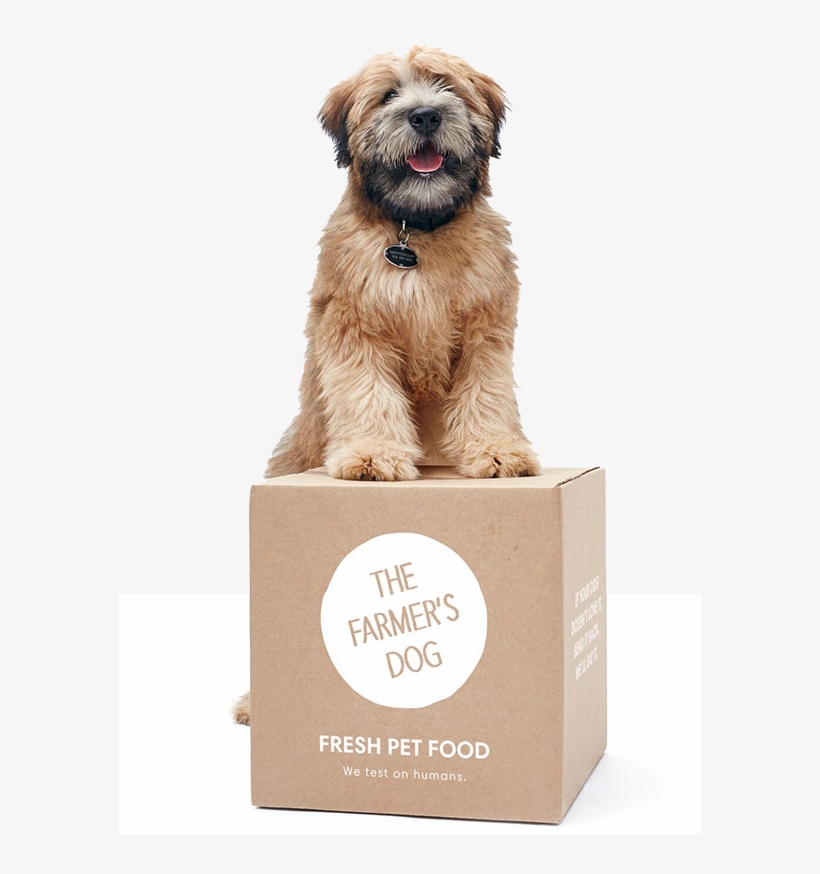 Farmers Dog Sitting On Package - Subscription Petfood, transparent png download