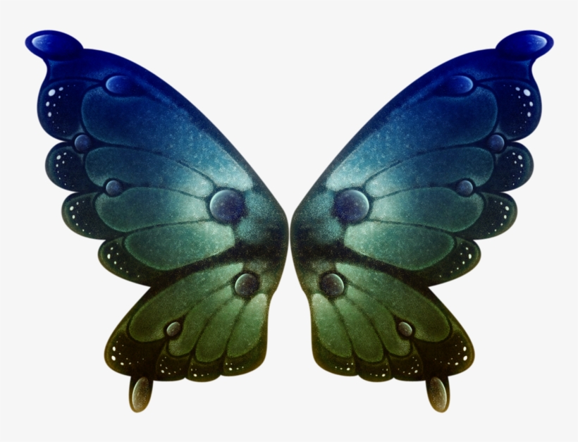 Pretty Wings - 蝴蝶, transparent png download