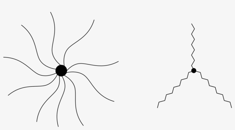 Star Like Polymers, transparent png download