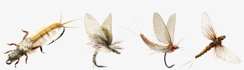 Son Match'n Catch - J Son Fly Fishing, transparent png download