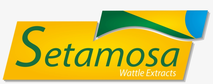 Setamosa Line - Graphic Design, transparent png download