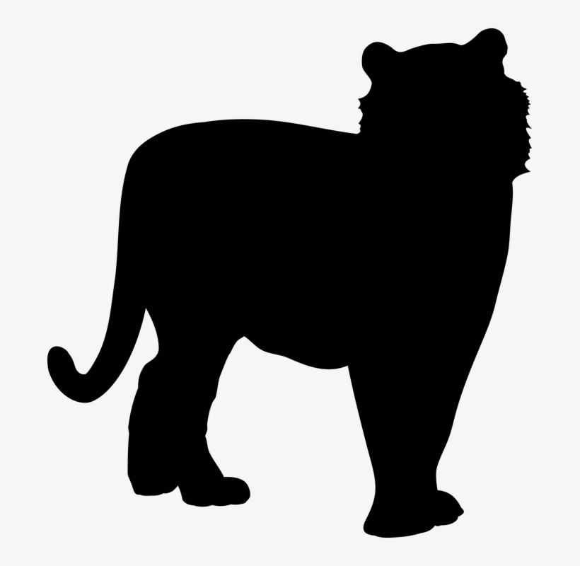 Black Cat Clipart Feral Cat - Big Cats, transparent png download