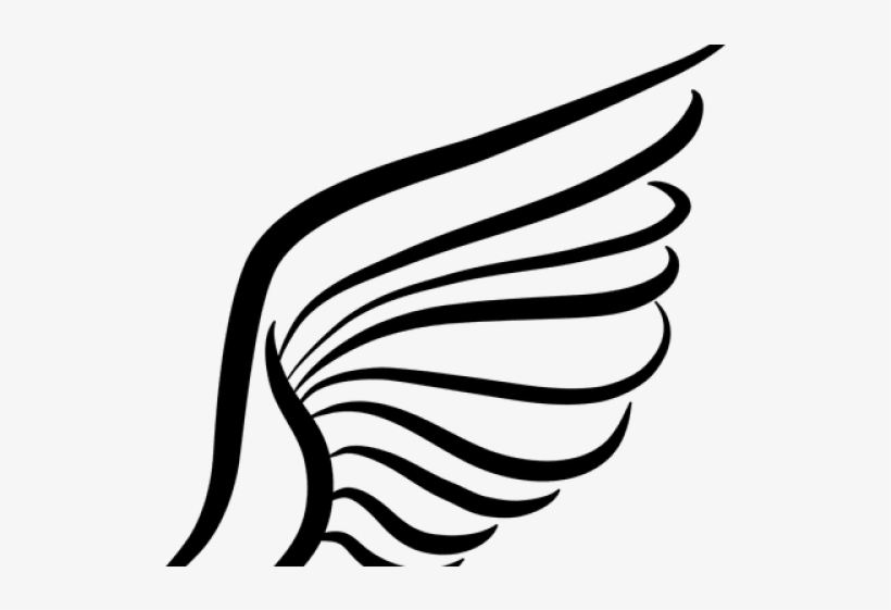 Drawn Book Silhouette - Asa Png, transparent png download