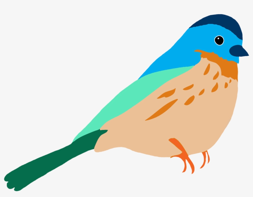 Graasisken Colored - Birds Drawing Color Png, transparent png download