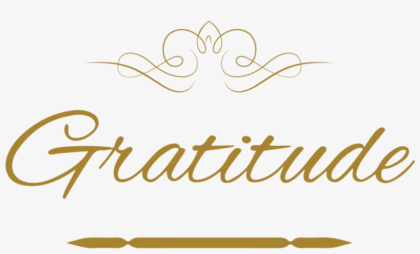 Gratitude Vinyl Decal Sticker Quote - Calligraphy, transparent png download