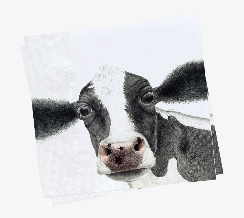 Charlotte Nicolin Paper Napkins Swedish Reproduction - Tray, transparent png download