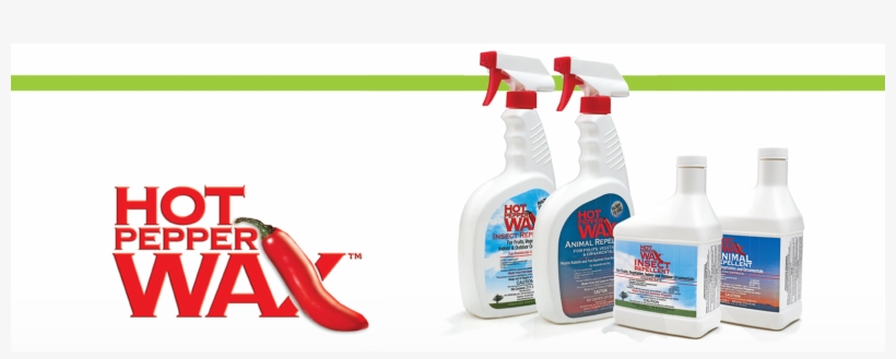 Bottle, transparent png download