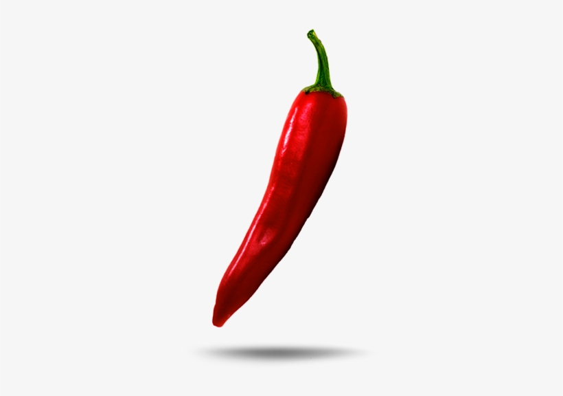 Contact - - Bird's Eye Chili, transparent png download