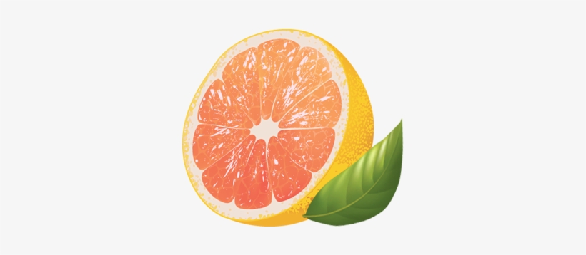 Grapefruit - Almofada De Pescoo Laranja, transparent png download