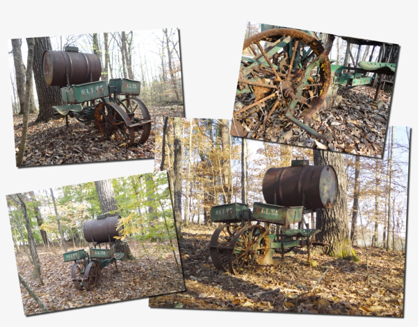 "elle's Tobacco Planter" - Grass, transparent png download