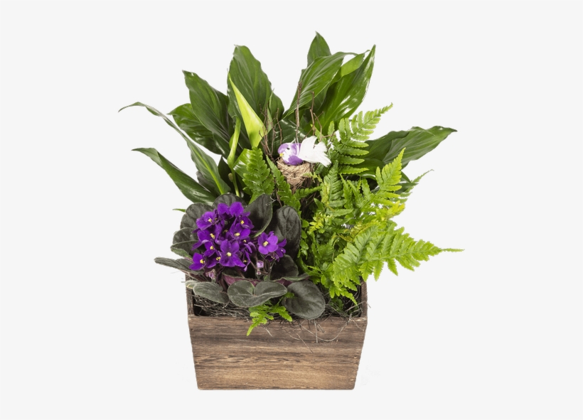 Song Bird Planter • $36 - Songbirds, transparent png download