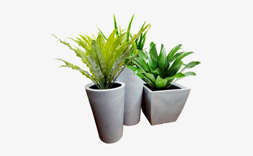 All Weather Planters - Potted Plant In Thailand, transparent png download