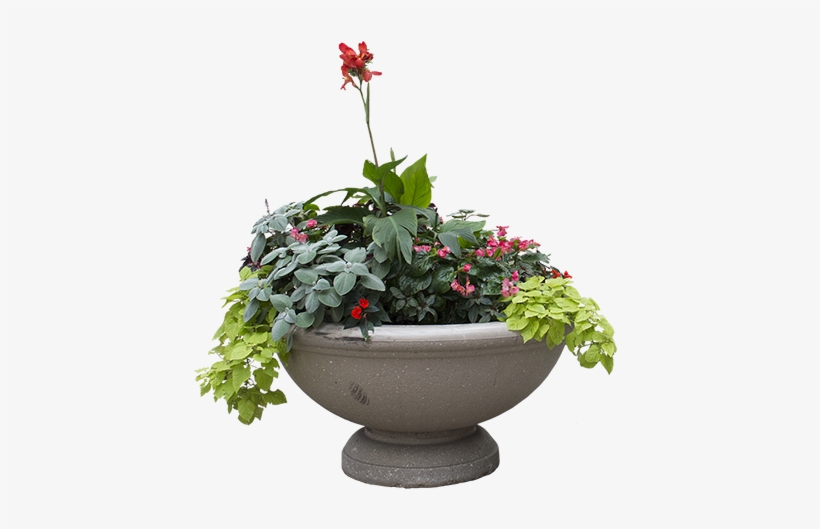 A Concrete Planter With Green Overflowing Plants And - Flower, transparent png download