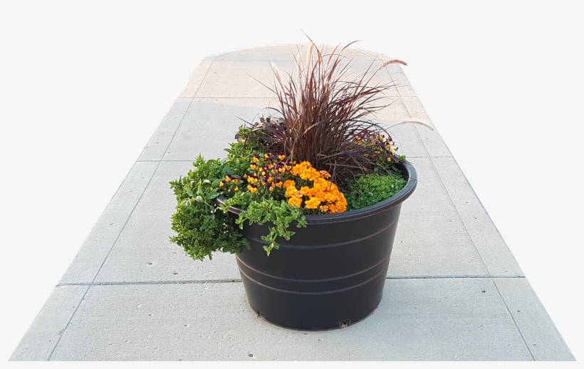 Qmp's Planter Pots Are A Heavy Duty Commercial Quality - Flowerpot, transparent png download