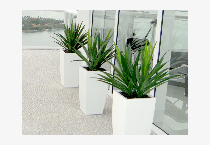 Toulan Tall Tapered Square Fiberglass Planter - Toulan Planter, transparent png download