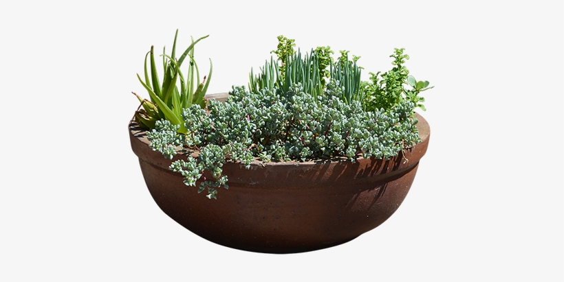 A Huge Cutout Clay Planter With Plants Possibly Including - Planters With Transparent Background, transparent png download