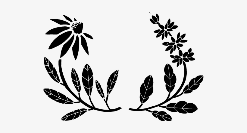 Cn Flowers - Customer Service, transparent png download