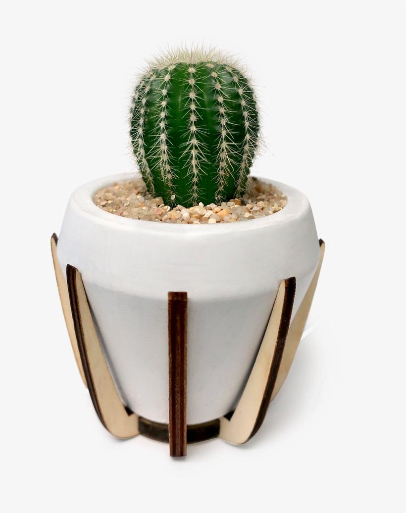 Atomic Cactus Planter, transparent png download