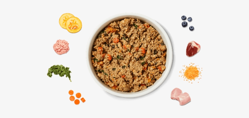 Healthy Turkey Feast - Myollie, transparent png download