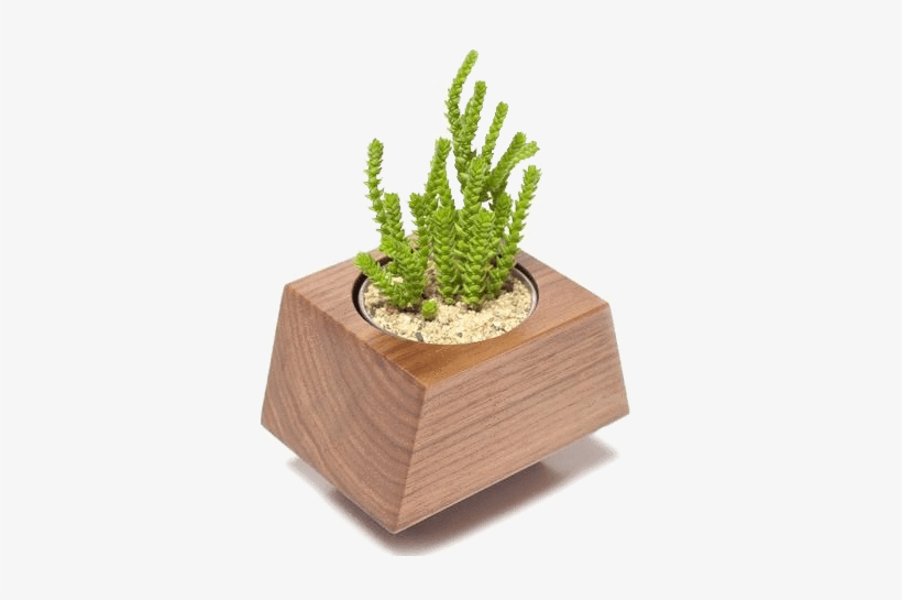 Buy Gourmet Box Car Planter Care Packages From Revolution - Cachepot, transparent png download