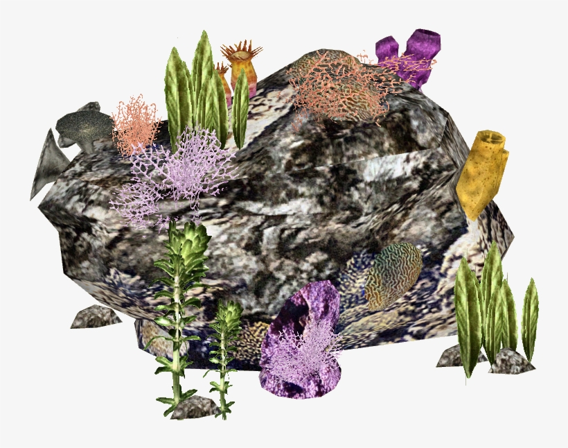 Reef - Japanische Riesenkrabbe, transparent png download
