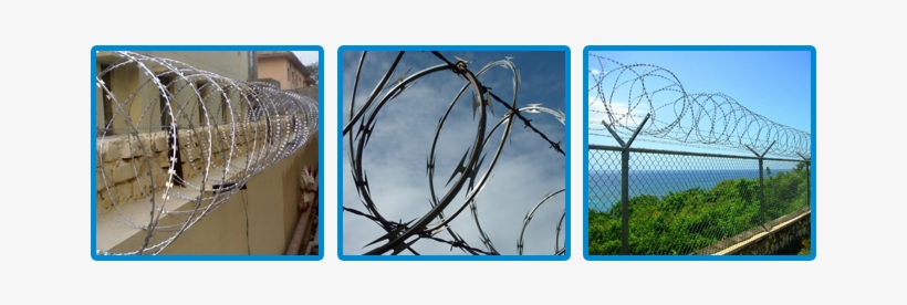 Wire Razor Manufacturers - Razor Wire Fence, transparent png download