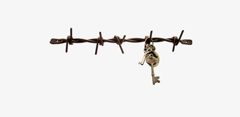 Big Barb Wire Small Materials - Portable Network Graphics, transparent png download