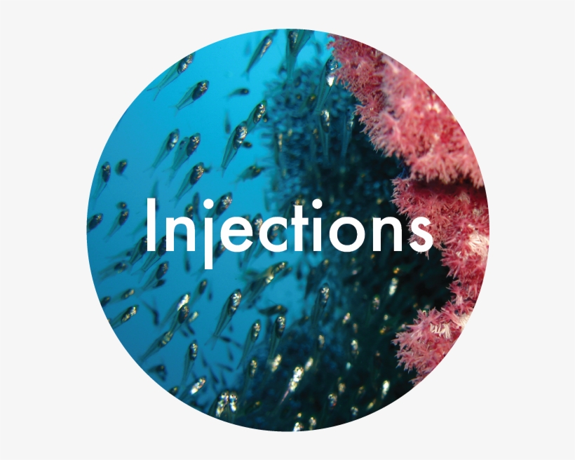 Methods 04 04 - Portable Network Graphics, transparent png download