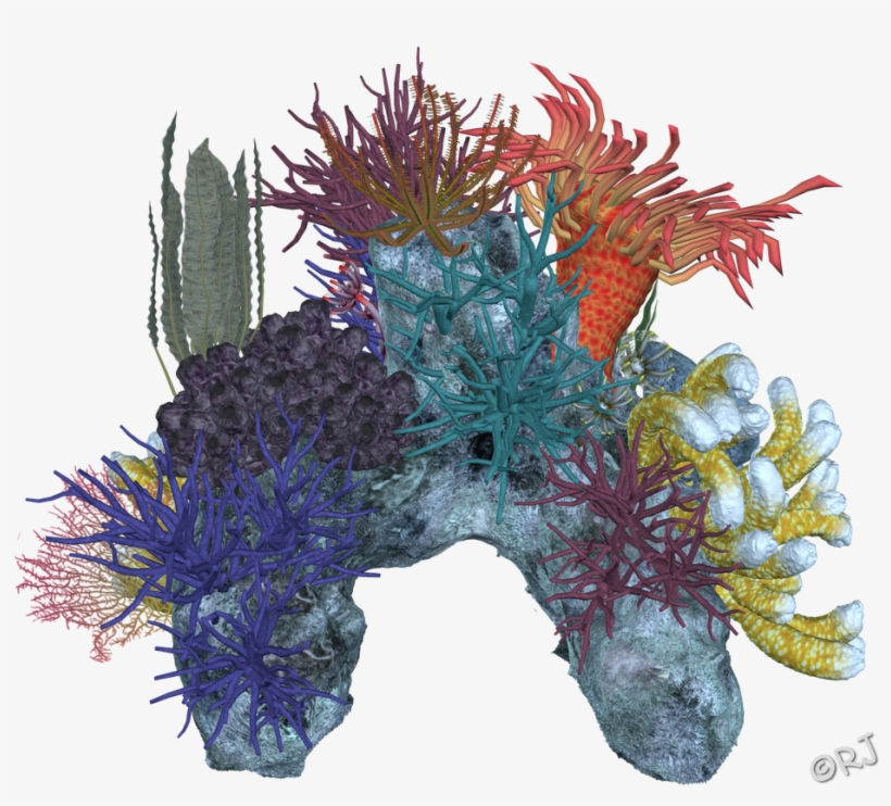 Coral Reef Png Download, transparent png download