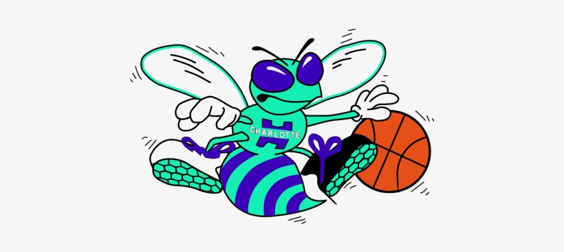 Report - Charlotte Hornet Logo Transparent, transparent png download