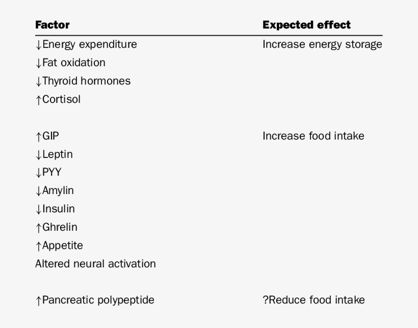 Physiological Changes After Diet-induced Weight Loss - Diet, transparent png download