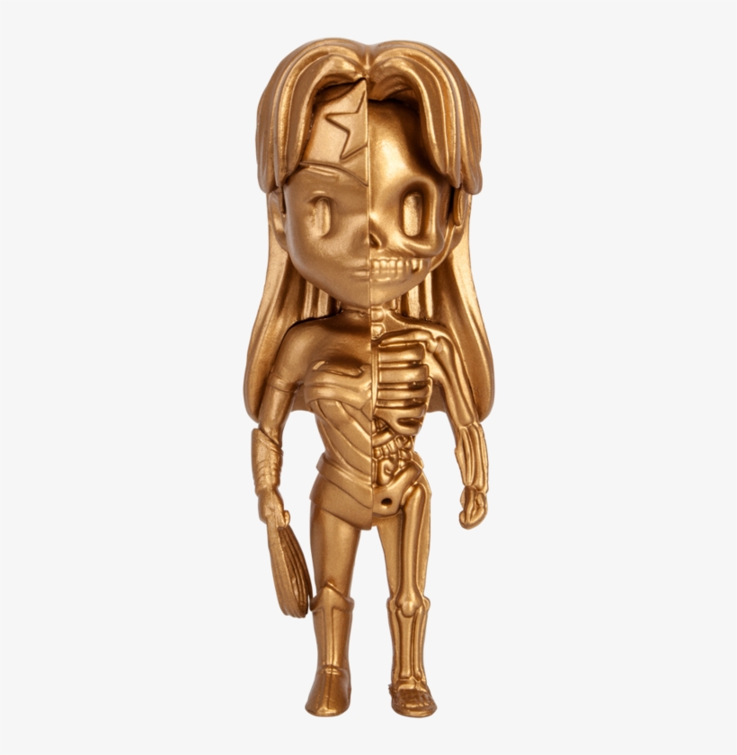 Wonder Woman Disecction, transparent png download