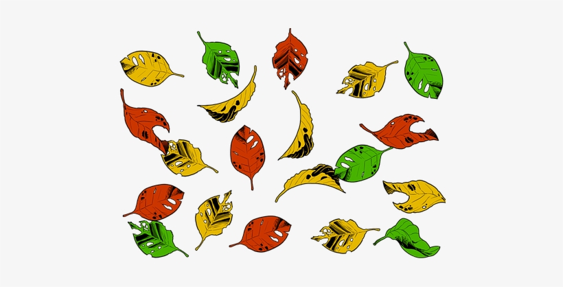 Falling Leaves, Leaves, Fall, Autumn - Autumn, transparent png download